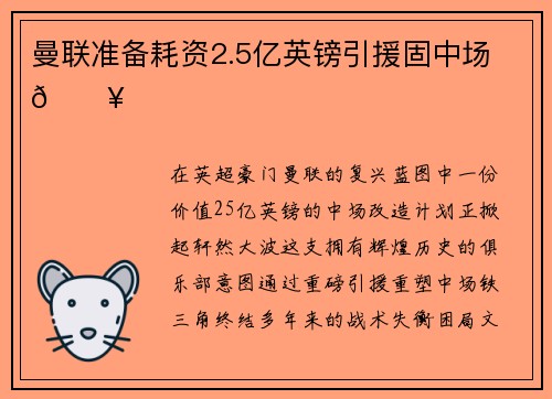 曼联准备耗资2.5亿英镑引援固中场 🔥
